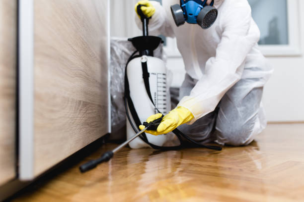 Best Bed Bug Extermination  in Mayflower, AR