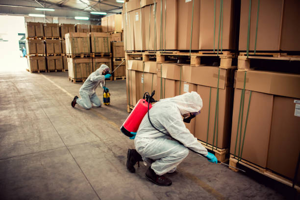 Best Flea Control Services  in Mayflower, AR