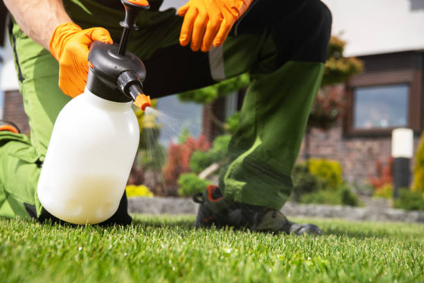Best Insect Control  in Mayflower, AR