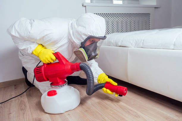 Best Affordable Pest Control Services  in Mayflower, AR