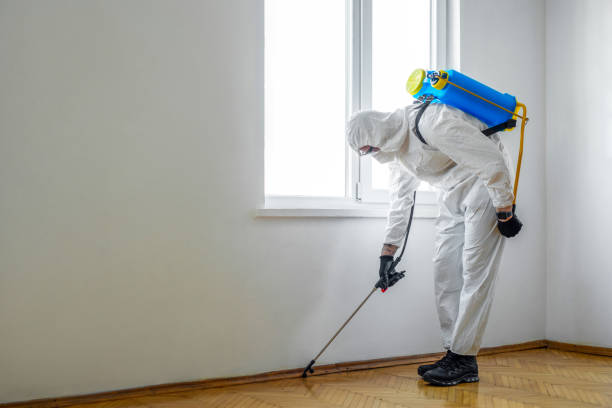 Reliable Mayflower, AR Pest Control Solutions
