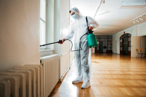 Best Affordable Pest Control Services  in Mayflower, AR
