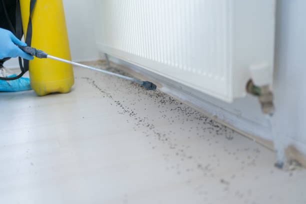 Best Pest Prevention Services  in Mayflower, AR