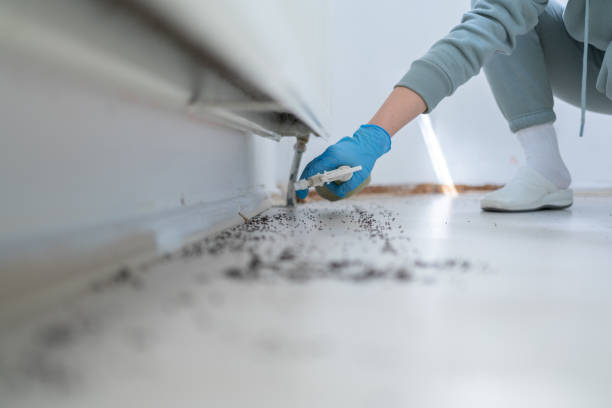 Best Exterminator Services  in Mayflower, AR
