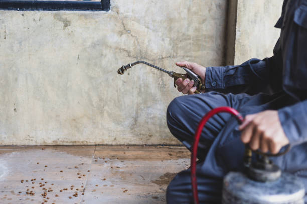 Best Best Pest Control Companies  in Mayflower, AR
